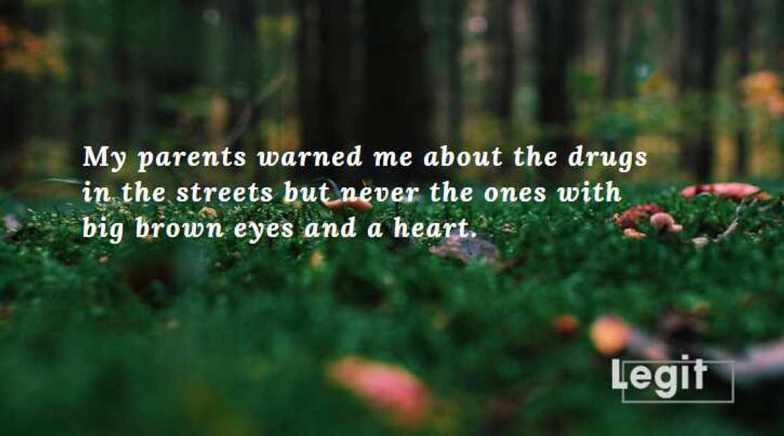 cute aesthetic quotes cute aesthetic quotes