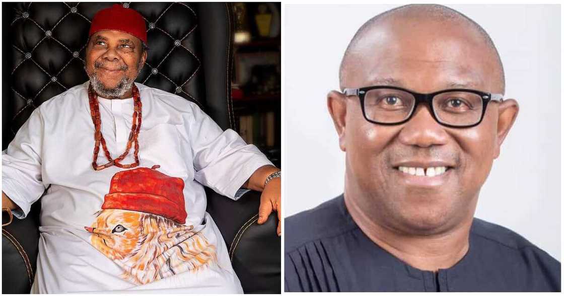 Pete Edochie, Peter Obi