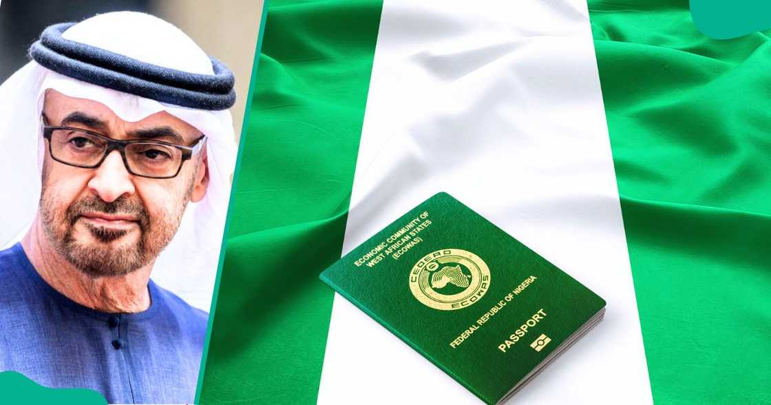 UAE announces new visa policy for individuals in humanitarian work
