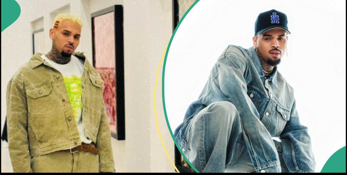 Chris Brown's new mansion went viral Chris Brown's new mansion went viral