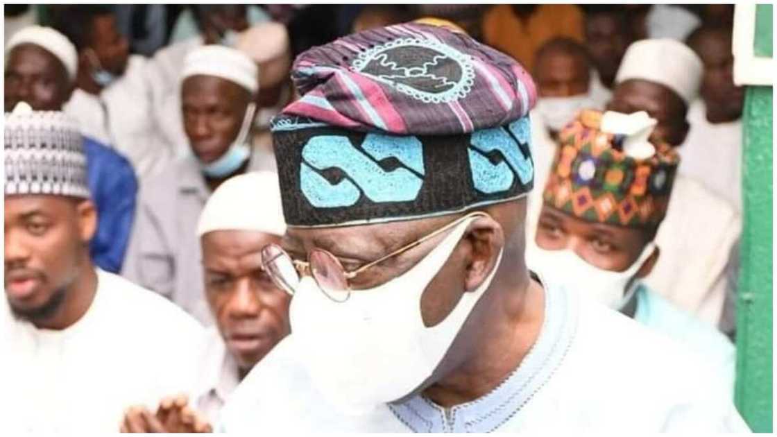 2023: Tinubu ya samu gagarumin goyon bayan sarakuna 300 domin ya gaji kujerar Buhari