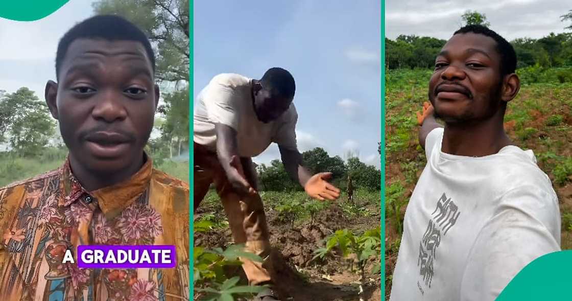 Graduate who returned to village to become a farmer speaks. Graduate who returned to village to become a farmer speaks.