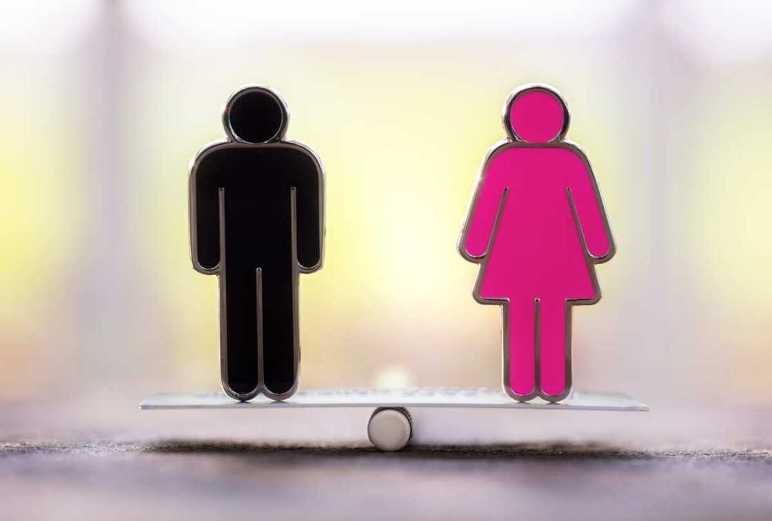 Main Causes of Gender Inequality Main Causes of Gender Inequality