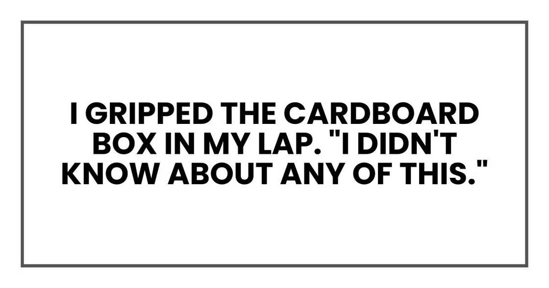 I gripped the cardboard box in my lap. "I didn't know about any of this." I gripped the cardboard box in my lap. "I didn't know about any of this."