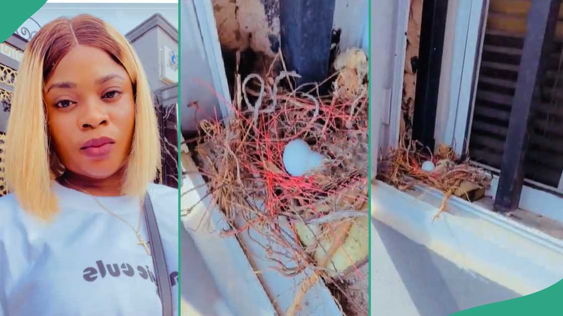 Lady sees bird nest in her house.