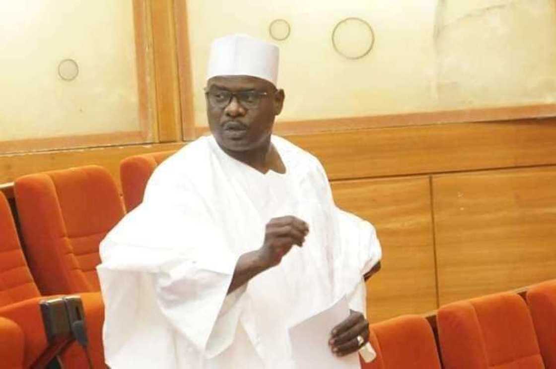 Senator Ali Ndume Senator Ali Ndume