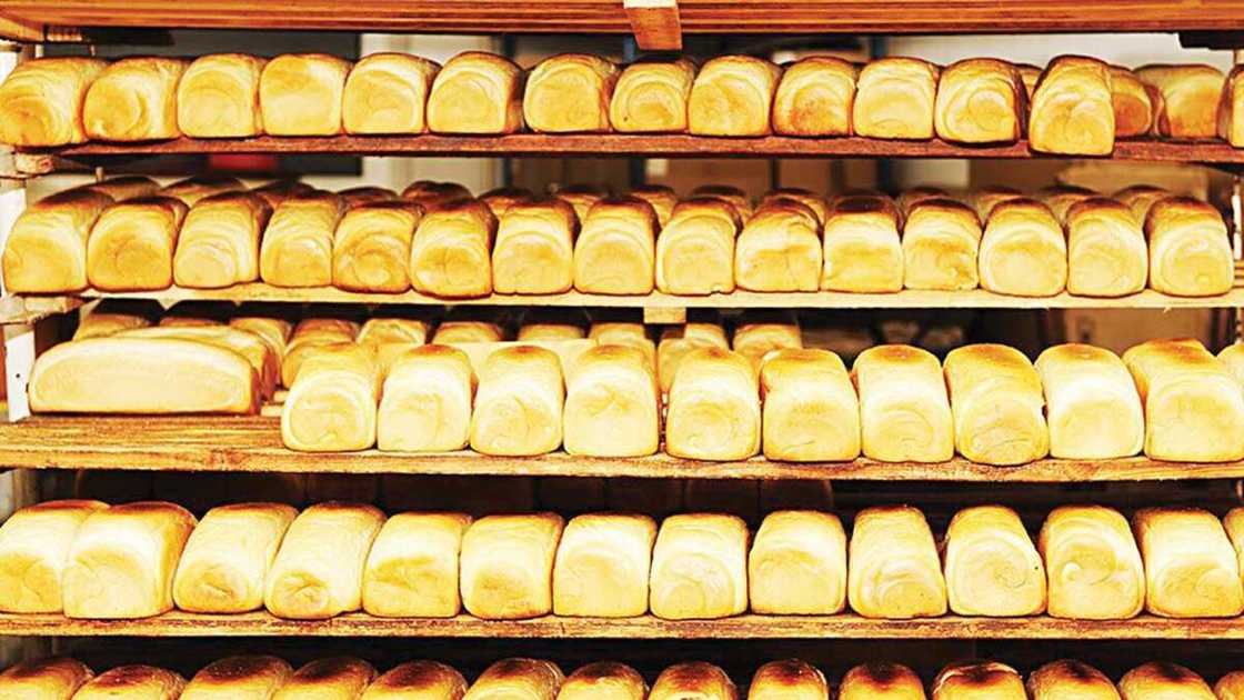 Price of bread to be increased by 20 percent Price of bread to be increased by 20 percent