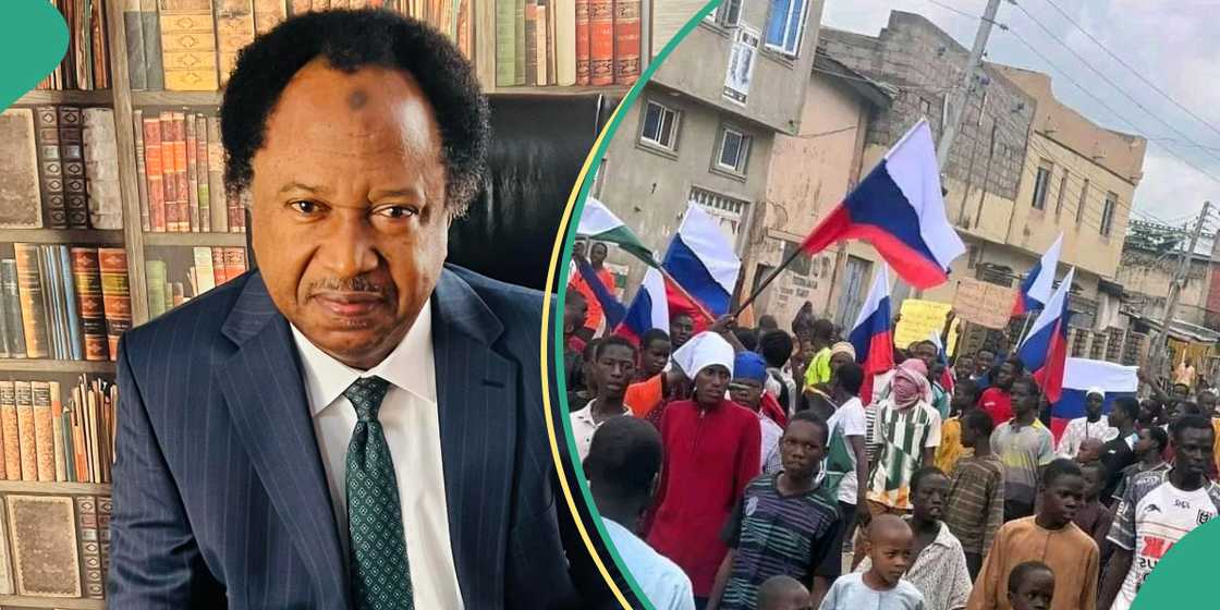 Shehu Sani says protest in North an attempt to overthrow Tinubu govt Shehu Sani says protest in North an attempt to overthrow Tinubu govt