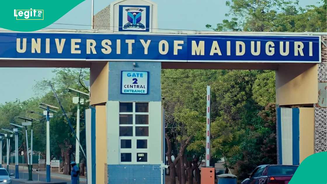 University of Maiduguri shuts down due to devastating Borno flood disaster