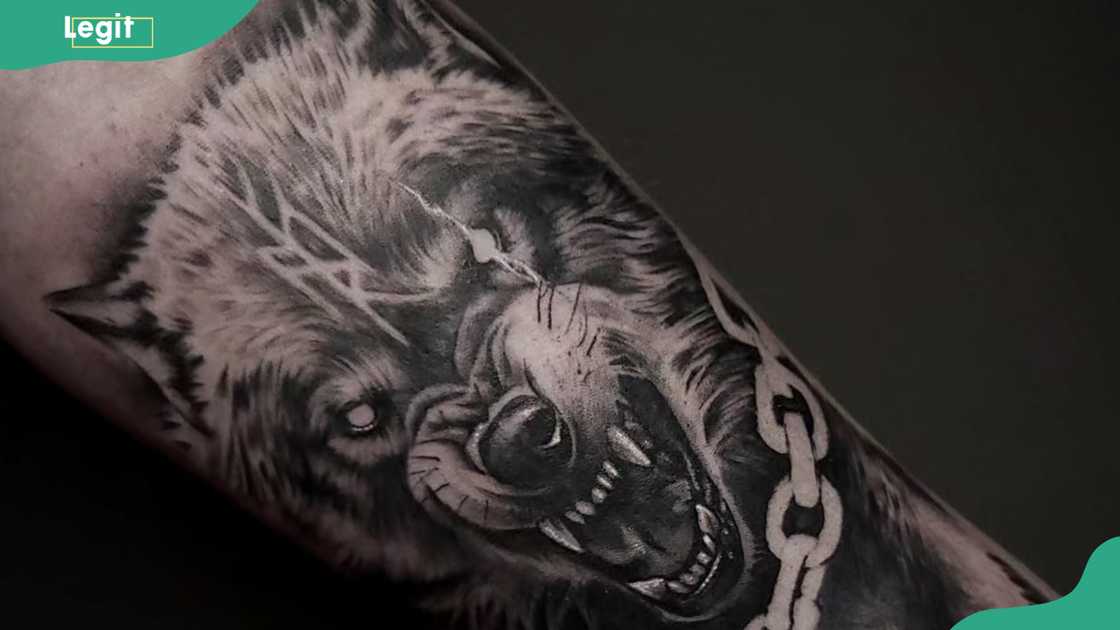 Fenrir with chains Fenrir with chains