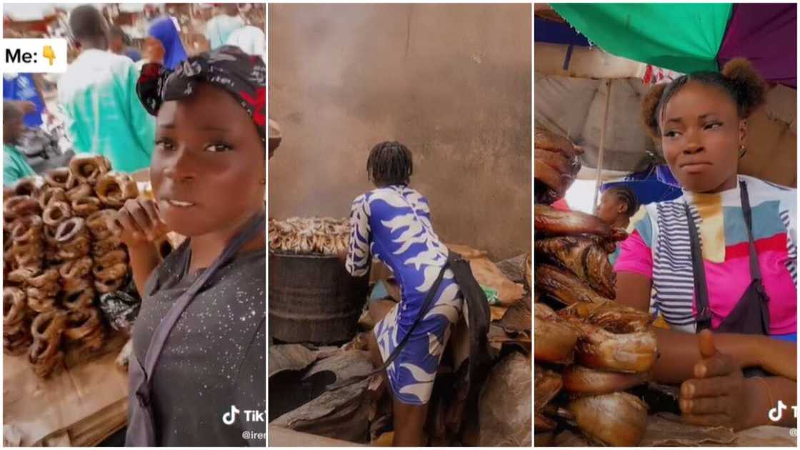 Selling fish in the market/striving as a trader in Nigeria. Selling fish in the market/striving as a trader in Nigeria.
