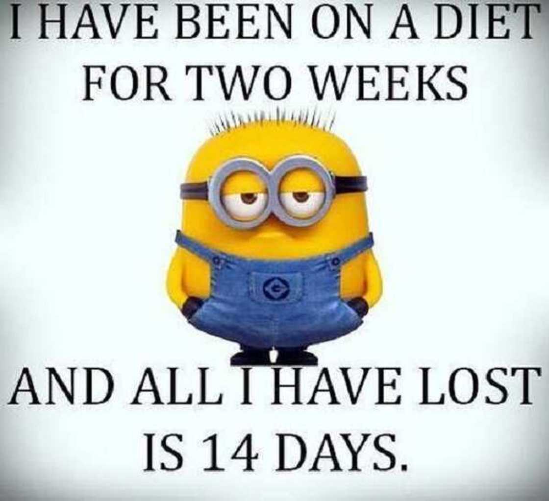 funny minion memes