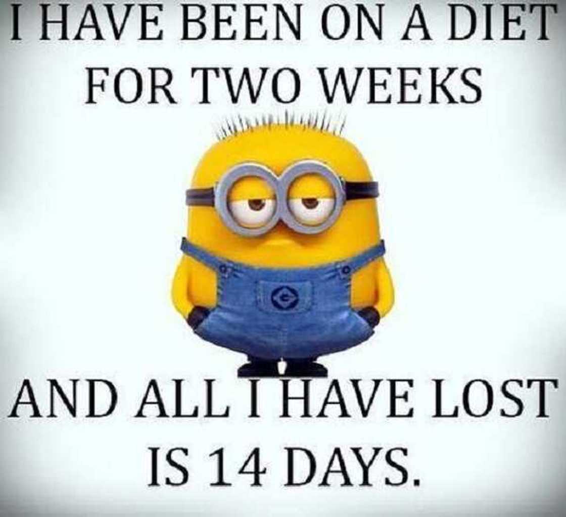 funny minion memes funny minion memes