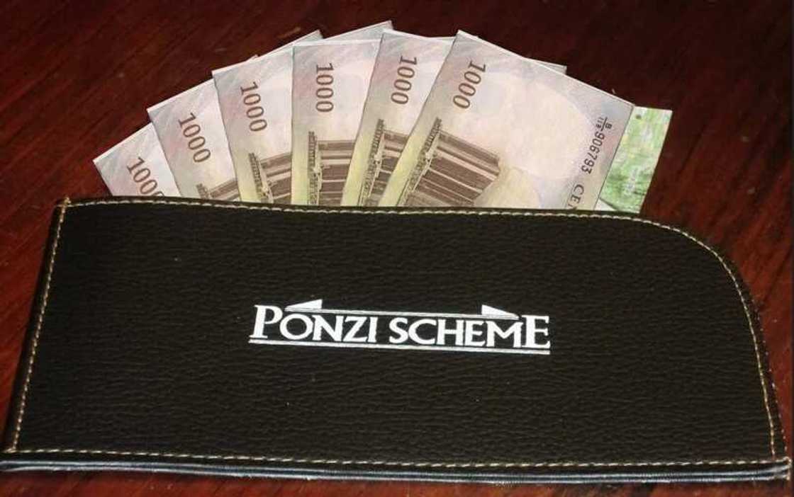 Top 7 critical signs to spot and avoid Ponzi scheme on time Top 7 critical signs to spot and avoid Ponzi scheme on time