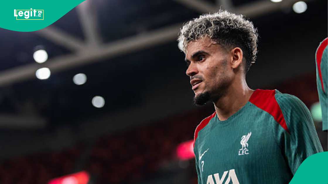 Liverpool, Luis Diaz, Alexander Isak, Premier League Liverpool, Luis Diaz, Alexander Isak, Premier League