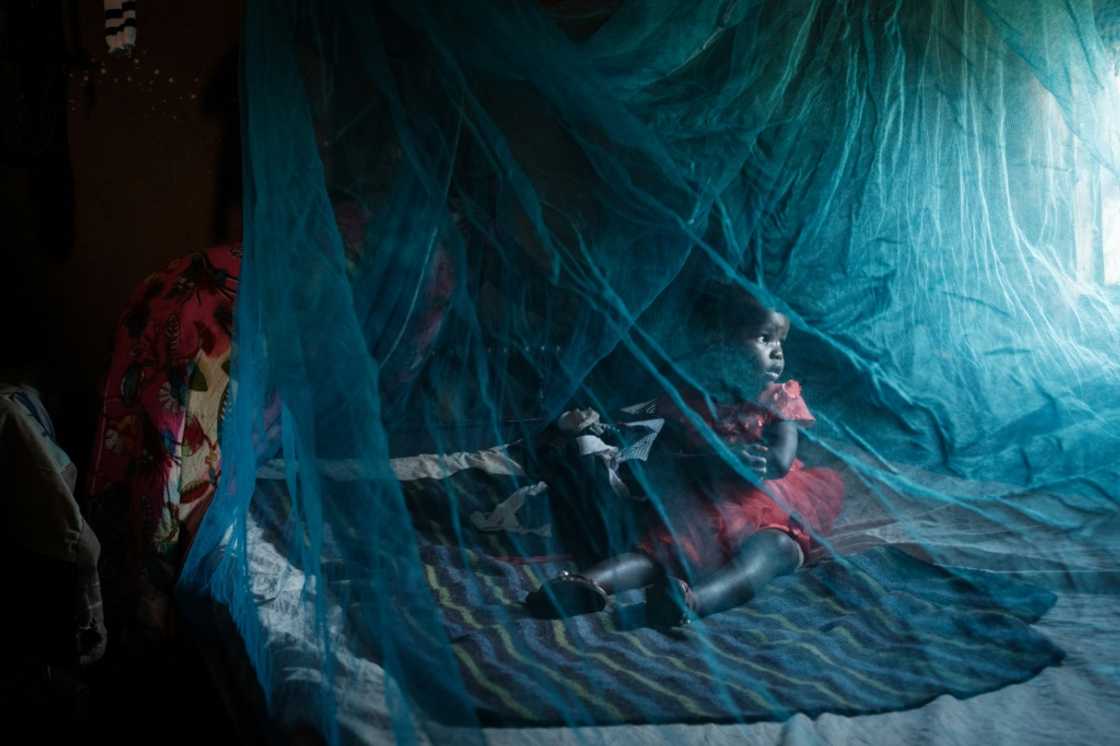 Bed nets -- up to now the prime weapon against malaria -- may be much less effective against the urban mosquito Bed nets -- up to now the prime weapon against malaria -- may be much less effective against the urban mosquito
