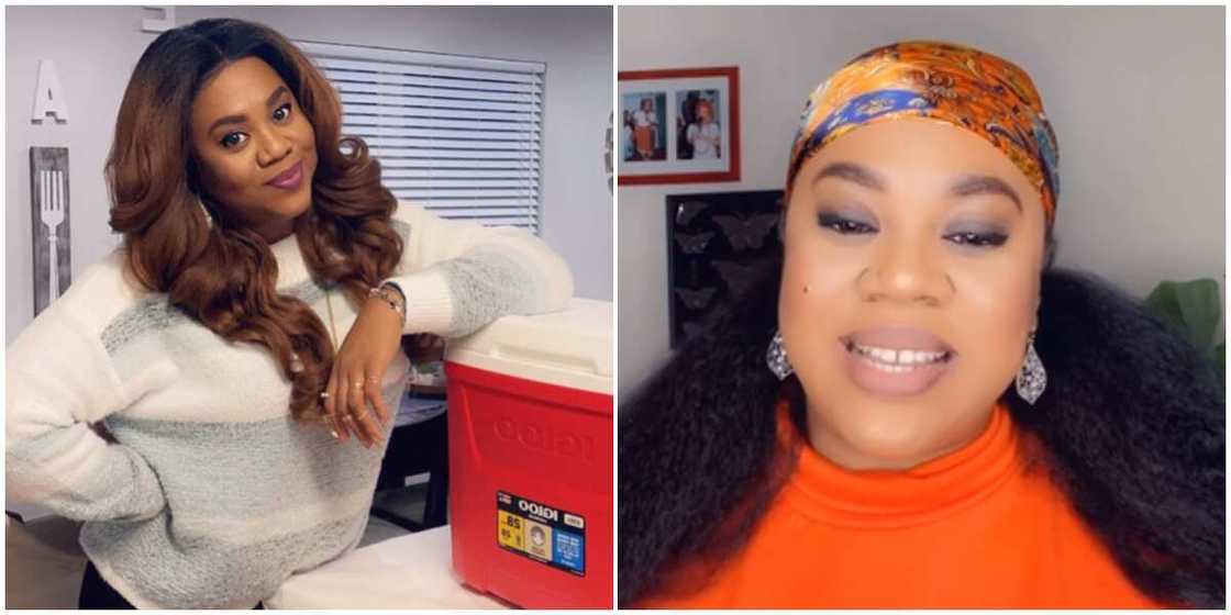 Stella Damasus Stella Damasus