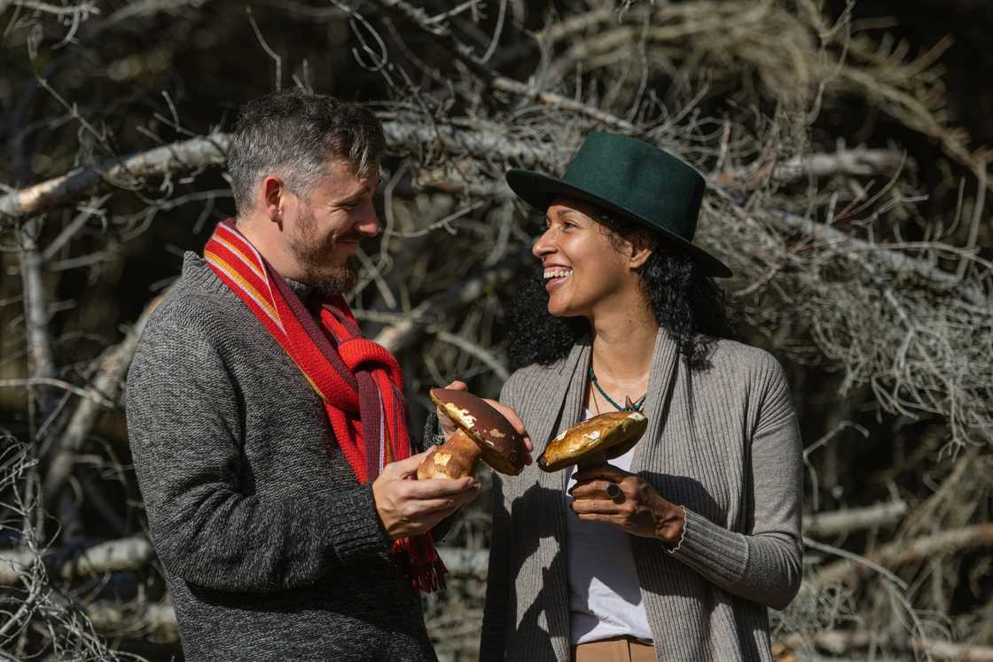 A couple picking mushrooms and chestnuts on a walk. A couple picking mushrooms and chestnuts on a walk.