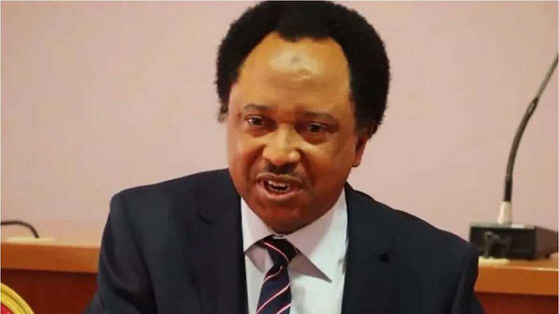 2023: Shehu Sani Ya Bayyana Abin Da Zai Yi A Kaduna Idan An Zabe Shi Gwamna