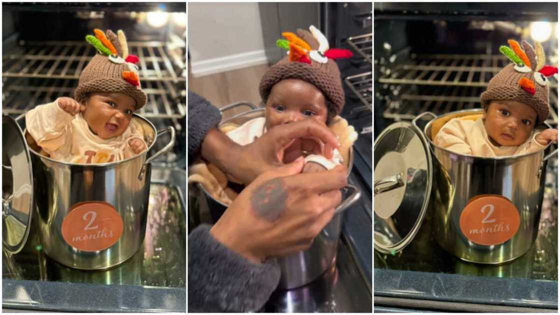 Thanksgiving photoshoot/Kid inside pot. Thanksgiving photoshoot/Kid inside pot.