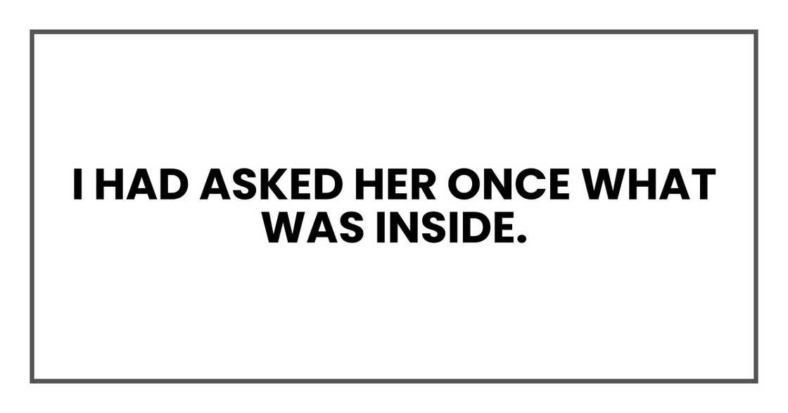 I had asked her once what was inside. I had asked her once what was inside.