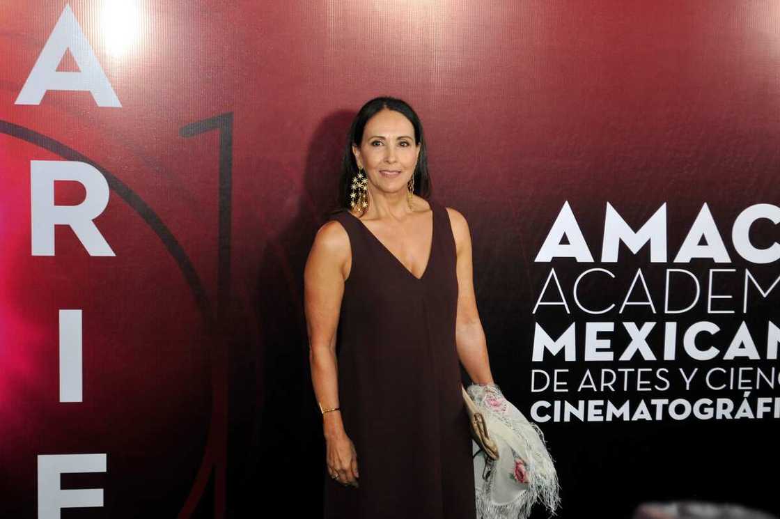 famous mexican actors famous mexican actors