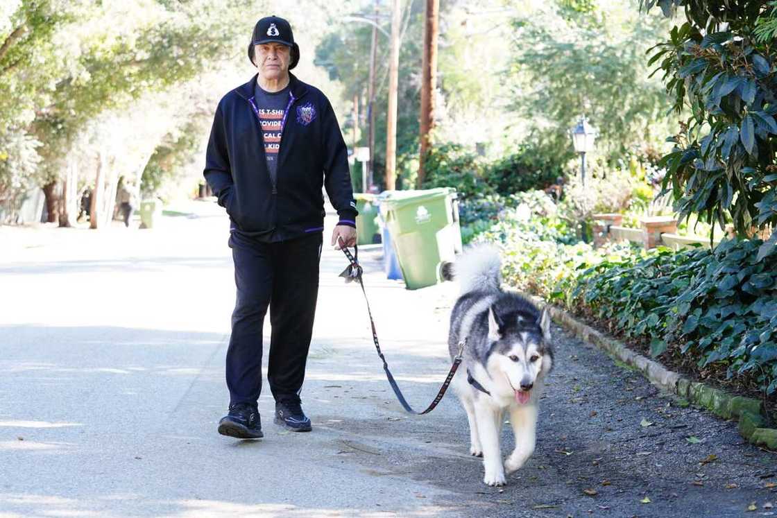 famous conservative celebrities famous conservative celebrities