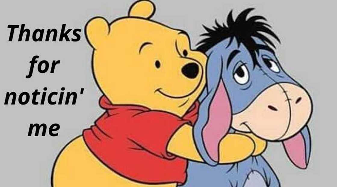eeyore sayings eeyore sayings