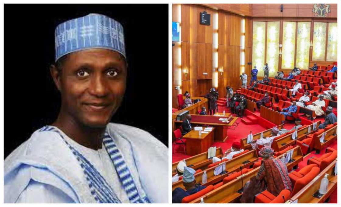 Kanal Audu Soja Hoto: Sojanetwork Kanal Audu Soja Hoto: Sojanetwork