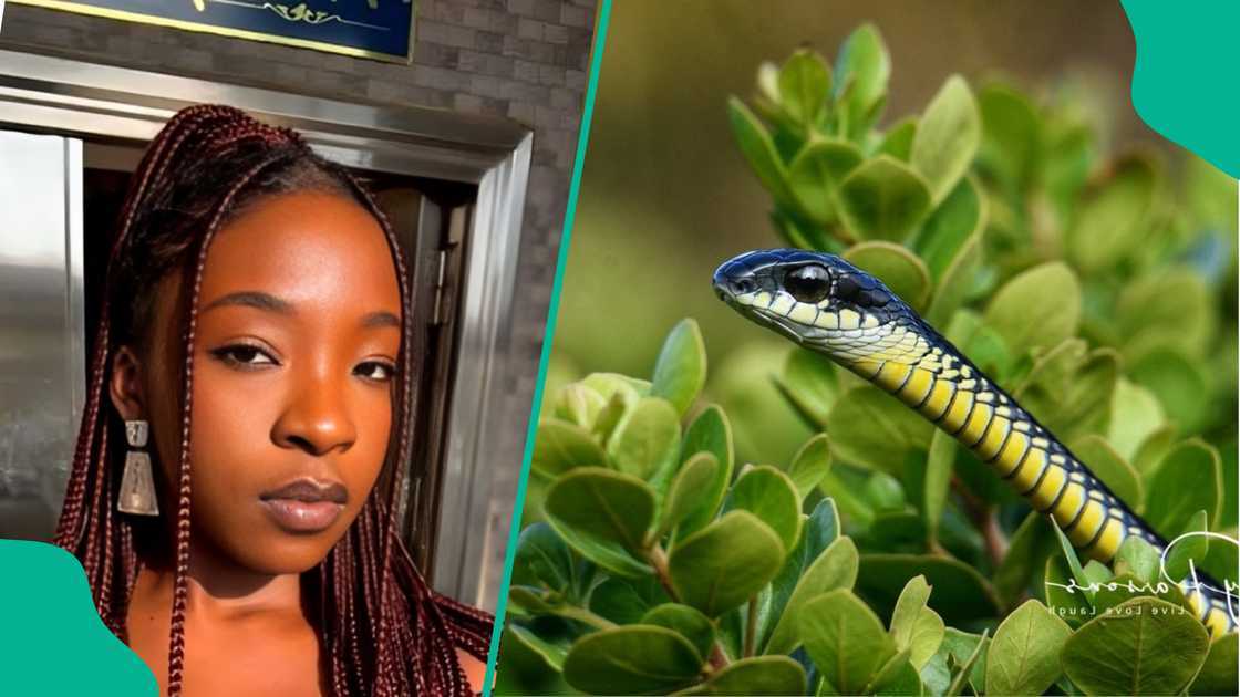 Abuja rising singer Ifunanya dies after snake bite