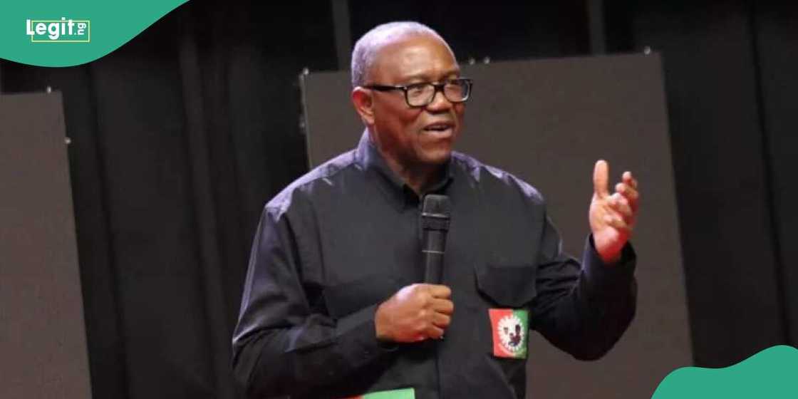 Peter Obi under fire over controversial "It's our turn" comment