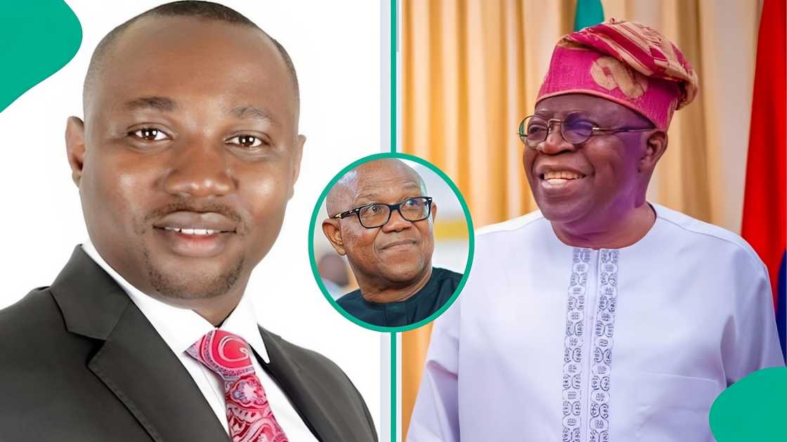 Marcel Ngogbehei, Tinubu Must Stay Movement, Marcel Ngogbehei appointment, Peter Obi campaign organiser, Tinubu 2027 alliance, Directorate of Mobilisation and Integration, Nigeria 2027 elections