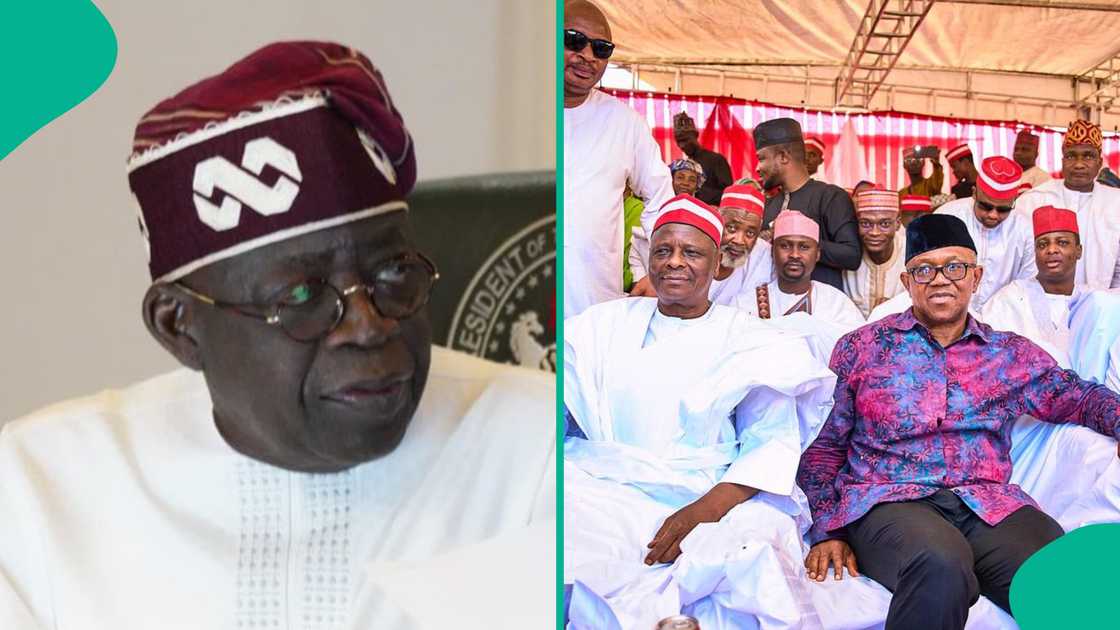Dele Momodu speaking during a televised interview on Channels Television, discussing Nigerian politics ahead of the 2027 elections and commenting on alleged opposition collaboration involving Peter Obi, Rabiu Kwankwaso, and President Bola Tinubu.