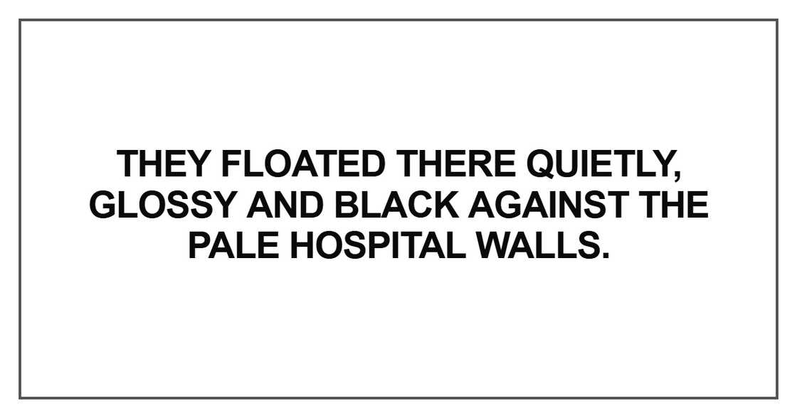 They floated there quietly, glossy and black