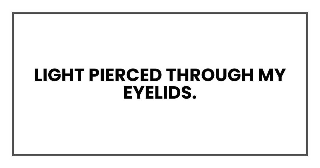 Light pierced through my eyelids. Light pierced through my eyelids.