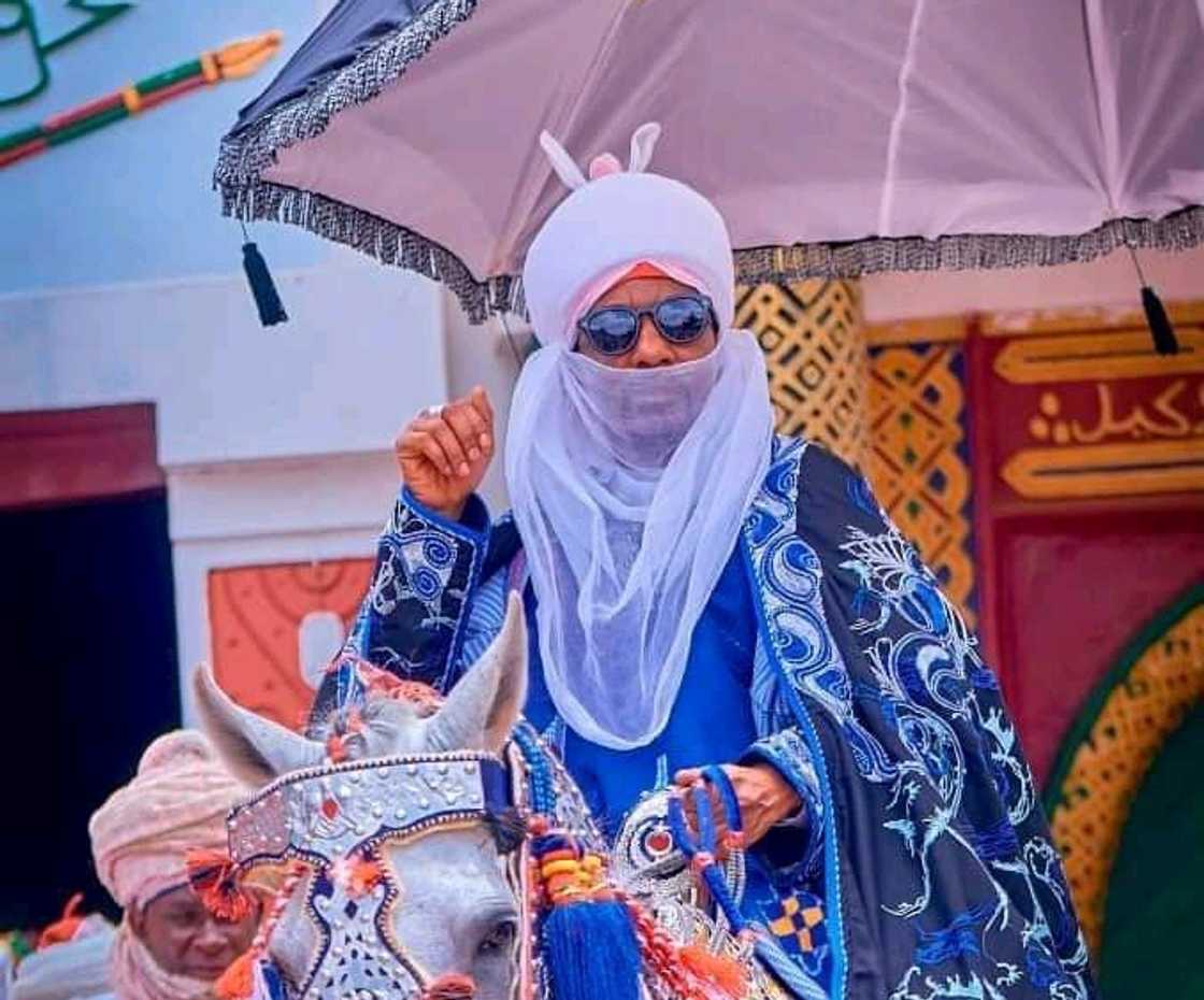 Sarki Sarki