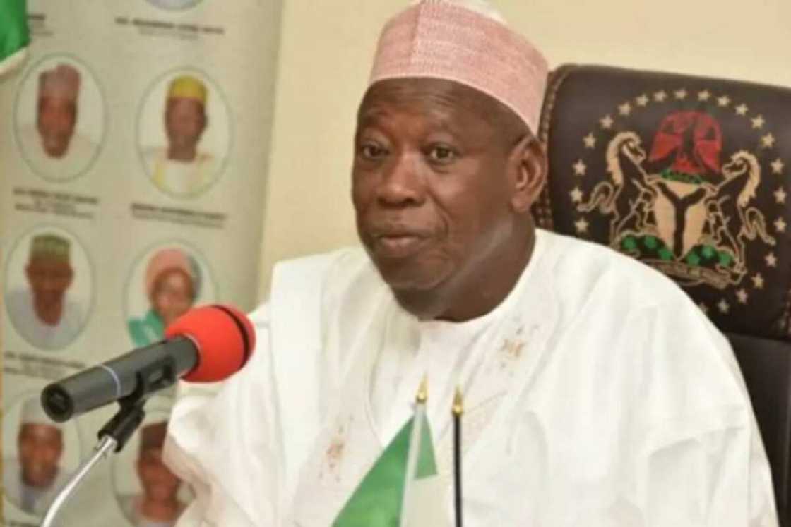 'Yan Bindiga Sun Fara Taruwa a Dazukan Jihar Kano, Ganduje 'Yan Bindiga Sun Fara Taruwa a Dazukan Jihar Kano, Ganduje