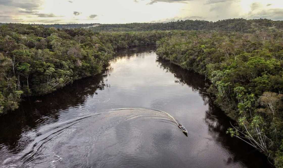 The Pira Parana territory is host to 17 communities of six different tribes The Pira Parana territory is host to 17 communities of six different tribes