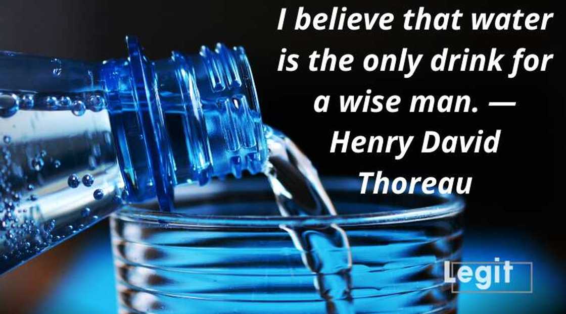 drink water quotes drink water quotes