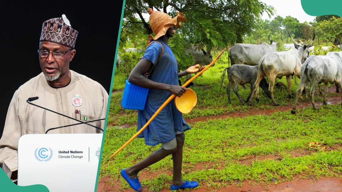 Rasheedat Bamgbola, an expert on climate change, has listed five ways in which the clashes between herders and farmers can be solved. Rasheedat Bamgbola, an expert on climate change, has listed five ways in which the clashes between herders and farmers can be solved.