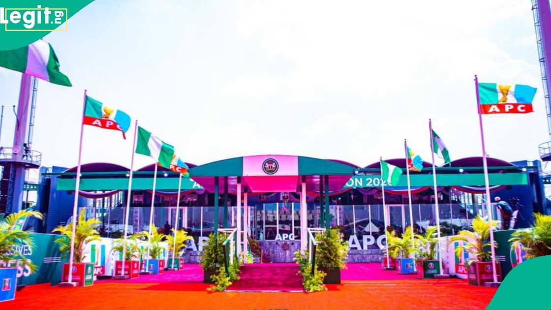 APC Convention: Full List of All Elected National Executives