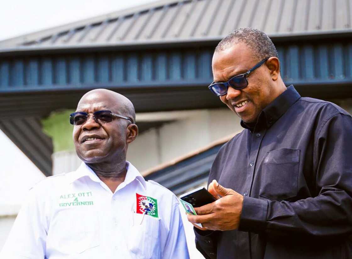 Peter Obi, Labour Party, Alex Otti, PDP, Okezie Ikpeazu, Abia state Peter Obi, Labour Party, Alex Otti, PDP, Okezie Ikpeazu, Abia state