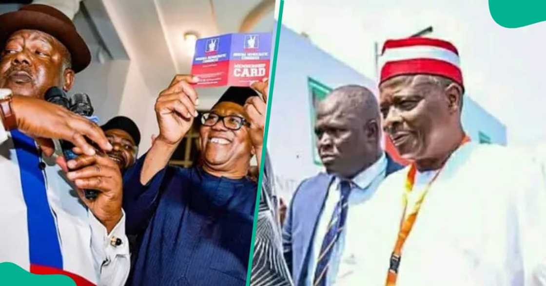 Ana ganin alheri a sauya shekar su Kwankwaso
