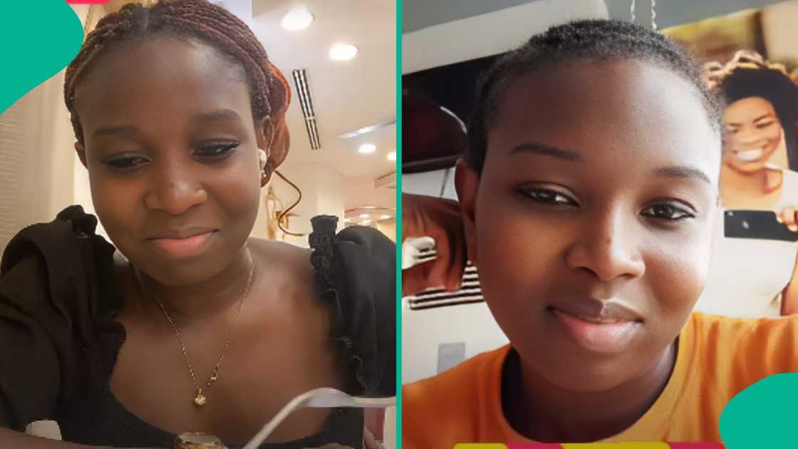 HR manager questions lady who brought her dog to office