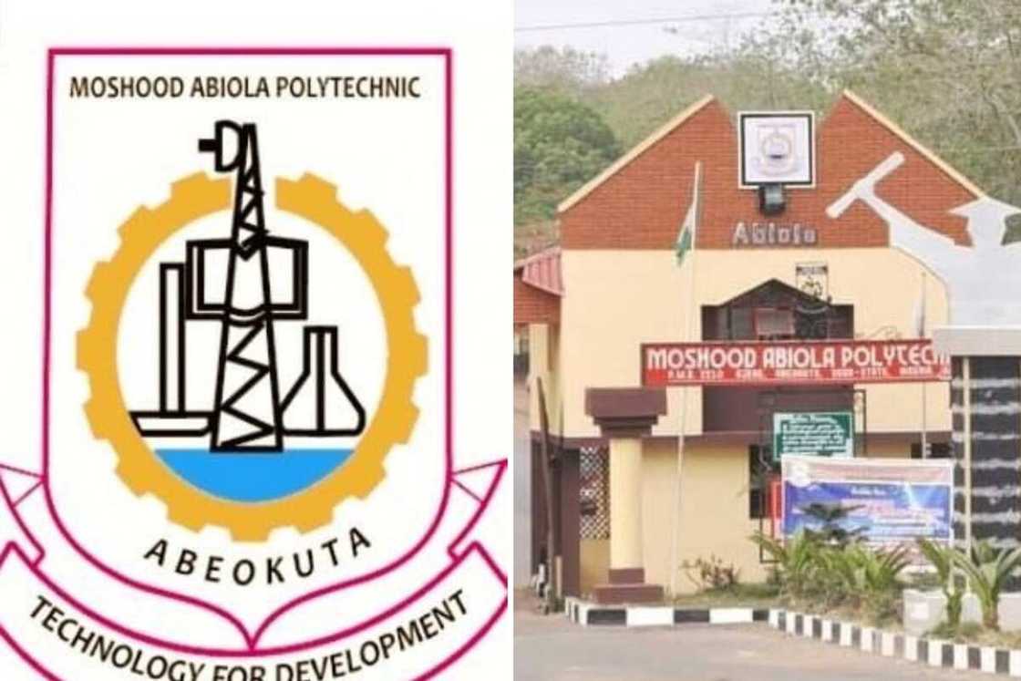 Best polytechnic in Nigeria: Top 10 educational institutions - Legit.ng