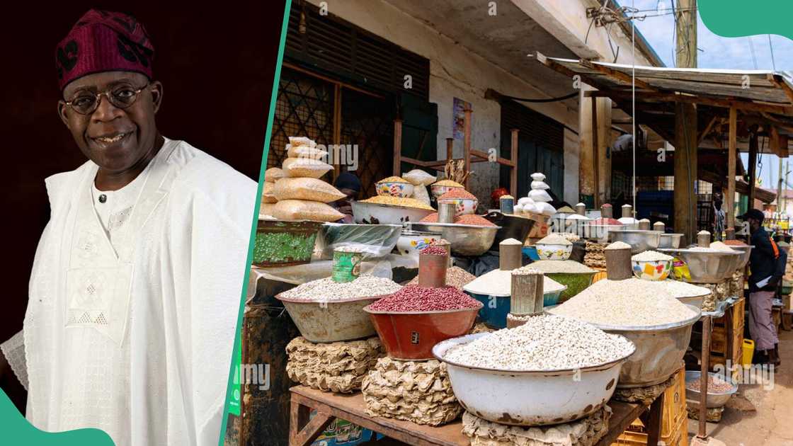 FG Plans New Agribusiness Mechanism FG Plans New Agribusiness Mechanism