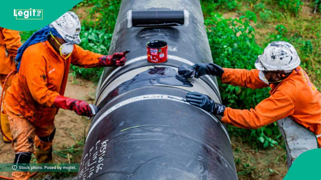 NNPC records a major win as Bayo Ojulari speaks on the near-completion of the Ajaokuta-Kaduna-Kano gas pipeline project. NNPC records a major win as Bayo Ojulari speaks on the near-completion of the Ajaokuta-Kaduna-Kano gas pipeline project.