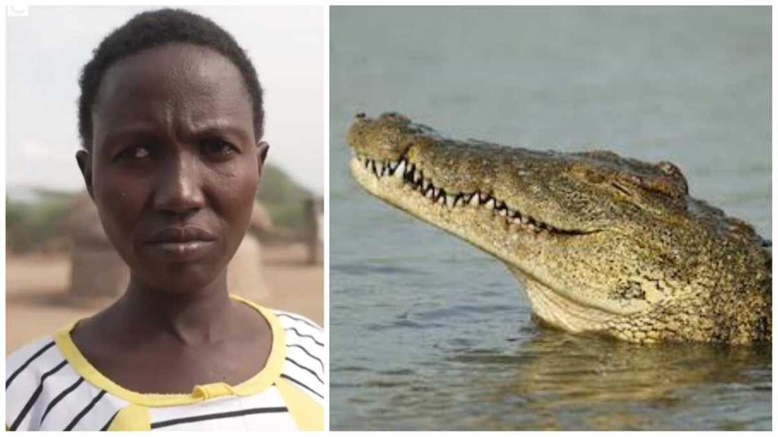 Winnie ta bayyana ta rasa kada ta cinye mata kafa Winnie ta bayyana ta rasa kada ta cinye mata kafa