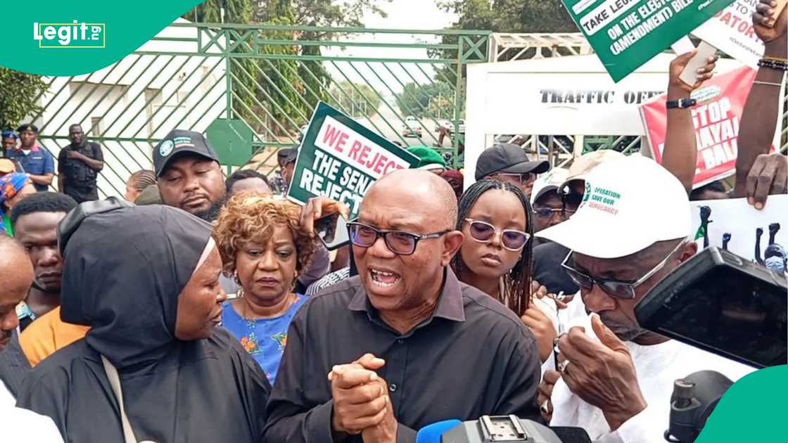 Masu Zanga Zanga Sun Mamaye Majalisar Dattawan Najeriya, Sun Bayyana Bukatarsu Masu Zanga Zanga Sun Mamaye Majalisar Dattawan Najeriya, Sun Bayyana Bukatarsu