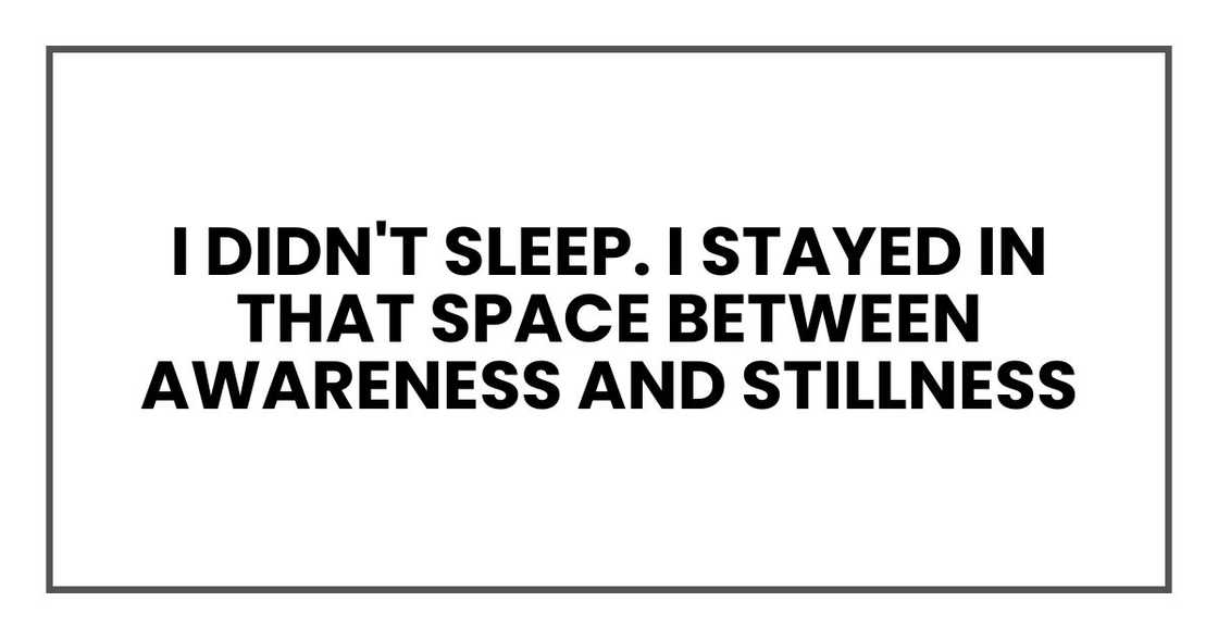 I didn't sleep. I stayed in that space between awareness and stillness I didn't sleep. I stayed in that space between awareness and stillness